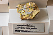 Crandallite, calcium aluminum phosphate, in the mineral collection in the USU Eastern Prehistoric Museum, Price, Utah.
