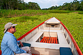 Amazonas-Fluss-Expedition mit dem Boot auf dem Amazonas bei Iquitos, Loreto, Peru. Fahrt auf einem der Nebenflüsse des Amazonas nach Iquitos, etwa 40 Kilometer von der Stadt Indiana entfernt