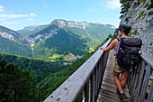 France, Haute Savoie, Thorens-Glières, Pas du Roc bridge