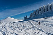 Frankreich, Haute Savoie, massive Bauges, oberhalb von Annecy, Grenze zur Savoie, die Hochebene von Semnoz, außergewöhnlicher Aussichtspunkt auf die Nordalpen, Langlaufloipe und Crêt de l'Aigle