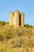 France, Cantal, regional natural park of the volcanoes of Auvergne, country of Salers, Tournemire, labelized the Most Beautiful Villages of France, the castle of Anjony of XVe century