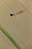 France, Bouches du Rhone, Camargue Regional Nature Park, Arles, Le Sambuc, tractor (aerial view)