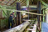 France, Haute Saone, Melisey, les milles etangs, Georges Tuaillon renovated the sawmill Martin, on the river Dou de l'Eau between Servance and Miellin