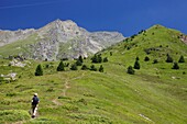 France, Isere, Valbonnais, Female hiker above the village on the Côte Belle crest