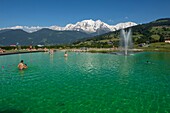 Frankreich, Haute Savoie, Mont Blanc, Combloux, das ökologische Gewässer und das Mont-Blanc-Massiv