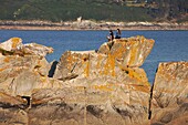 France, Finistere, Locquirec, Roc at Pointe du chateau