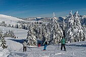 France, Haute Savoie, massive Bauges, above Annecy limit with the Savoie, the Semnoz plateau exceptional belvedere on the Northern Alps, alpine skiers on the trail of the Crêt de l'Aigle
