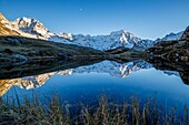 France, Hautes Alpes, national park of Ecrins, valley of Valgaudemar,La Chapelle en Valgaudémar, reflection of Sirac (3441m) on the lake of Lauzon (2008m), on the left the peak Jocelme (3458m)