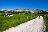 France, Haute Savoie, La Balme de Thuy, hiker on the Dran plain