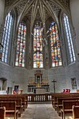 France, Savoie, Chambery, the stained glass windows classified from the holy chapel to the castle