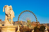France, Paris, Tuileries garden in Winter and the Christmas Grand Wheel