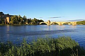 Frankreich, Vaucluse, Avignon, Brücke Saint Benezet (XII. Jh.) über die Rhone, die von der UNESCO zum Weltkulturerbe erklärt wurde, von der Insel Barthelasse aus gesehen, Anlegestelle am Ufer der Rhone