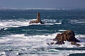 Frankreich, Finistère, Mer d'Iroise, Cap Sizun, Plogoff, Pointe du Raz, denkmalgeschützter Leuchtturm La Vieille im Raz de Sein, Großes Nationaldenkmal