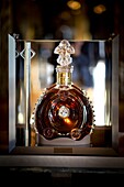 France, Paris, Promotion of Louis XIII Cognac jeroboam