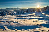 Frankreich, Haute Savoie, massive Bauges, oberhalb von Annecy an der Grenze zu Savoyen, das Semnoz-Plateau, außergewöhnlicher Aussichtspunkt in den Nordalpen, Sonnenaufgang auf vom Wind geformtem Schnee und massiven Bornes und dem Mont Blanc