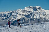 Frankreich, Haute Savoie, massive Bauges, oberhalb von Annecy Grenze mit der Savoie, das Semnoz Plateau außergewöhnlichen Aussichtspunkt auf die nördlichen Alpen, Fußgängerwege und der Tournette Berg