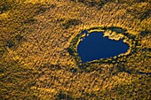 France, Bouches du Rhone, Camargue Regional Nature Park, Arles, Meyranne Marsh (aerial view)