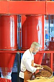 France, Rhone, Lyon, Limonest, MUSCO (Manufacture Seve and Boutique Museum), Richard Seve, master chocolatier verifying cocoa beans