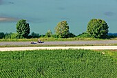 Frankreich, Ain, Saint Benedict, Die Rhone, Via Rhona vor der Insel La Sauge (Luftaufnahme)