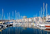 France, Var, Toulon, the port, Darse Vieille, Cronstadt wharf, the City Hall in the background