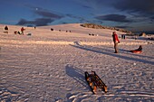 France, Territoire de Belfort, Ballon d'Alsace, summit, sleds on a winter evening, snow