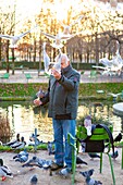 Frankreich, Paris, Tuileriengarten, Mann füttert Tauben
