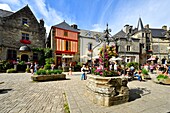 France, Morbihan, Rochefort en Terre, labelled les plus beaux villages de France (The Most Beautiful Villages of France), Place du Puits