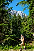 France, Haute Savoie, Thorens-Glières, in the forest, walking up to the Balme chalet
