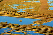 Frankreich, Bouches du Rhone, Regionaler Naturpark Camargue, Arles, Sumpfgebiet Meyranne (Luftaufnahme)