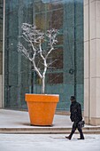 France, Hauts de Seine, Puteaux, Palais de la Mediatheque, Republic street under the snow