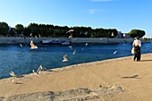 France, Bouches du Rhone, Arles, dock Max Dormoy, The Rhone
