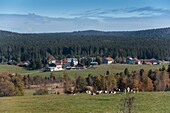 Frankreich, Jura, das Dorf Bellefontaine