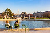 Frankreich, Paris, Tuileriengarten im Winter, das Oktogonalbecken