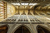 Frankreich, Moselle, Metz,Gotische Kathedrale Saint Etienne von Metz, das Kirchenschiff und die Glasfenster der Westfassade von Hermann de Munster