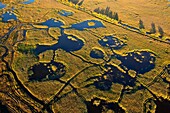 France, Bouches du Rhone, Camargue Regional Nature Park, Arles, Meyranne Marsh (aerial view)