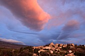 Frankreich, Vaucluse, Crillon le Brave