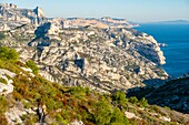 France, Bouches du Rhone, Marseille, Regional Park of Calanques, the cove of Cortiou
