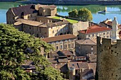 France, Ardeche, Tournon sur Rhone, the virgin of the tower (nineteenth)