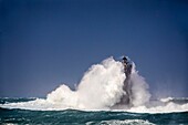 Frankreich, Finistere, Porspoder, Landunvez, Presqu'île de Saint Laurent, Chenal du Four, Der Vier-Leuchtturm im Sturm, Denkmalgeschützt