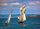 Frankreich, Finistere, Douarnenez, Festival Maritime Temps Fête, Pen Duick und La Cancalaise, traditionelle Segelboote im Hafen von Rosmeur