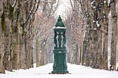 France, Paris, counter alley of the Champs Elysees, a Wallace fountain under the snow