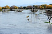 Frankreich, Vaucluse, Avignon, Boulevard der Rhone, die Brücke Saint Benezet (XII), Weltkulturerbe der UNESCO, an der Rhone im Hochwasser am 23/11/2016