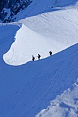 Frankreich, Haute Savoie, Chamonix Mont Blanc, Bergsteiger auf dem Grat der aiguille du Midi (3848m), Mont Blanc Kette, Abstieg des Vallee Blanche