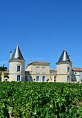 Frankreich, Gironde, Saint Estephe, Weinschloss von Lilian Ladouys
