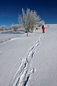 France, Territoire de Belfort, Ballon d'Alsace, summit, snowshoe hike, winter