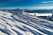 Frankreich, Haute Savoie, massive Bauges, oberhalb von Annecy an der Grenze zur Savoie, das Semnoz-Plateau außergewöhnlicher Aussichtspunkt auf die Nordalpen, vom Wind geformte Schneelandschaft