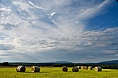 France, Doubs, Ecot, plateau, bales of hay