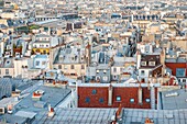 France, Paris, Zinc roofs of rue de Rivoli