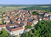 France, Cote d'Or, Flavigny sur Ozerain, more beautiful villages of Franceaer (aerial view)