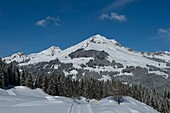 France, Haute Savoie, massif des Aravis, La Clusaz, cross country ski trail and mount Lachat in the hamlet of Confins